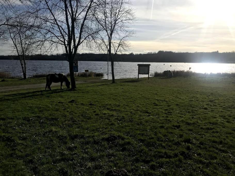 Gite A La Campagne Au Bord D'Un Lac 8 Personnes Saint-Quentin-sur-Charente Exterior foto